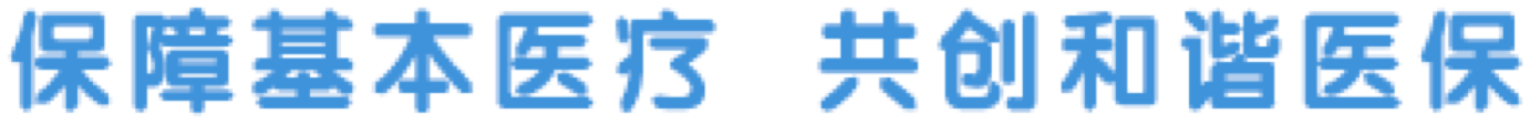 保障基本医疗 共创和谐医保